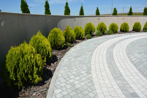 Reasons to Select Us for Your Driveway Paving Requirements in Thomaston, NY